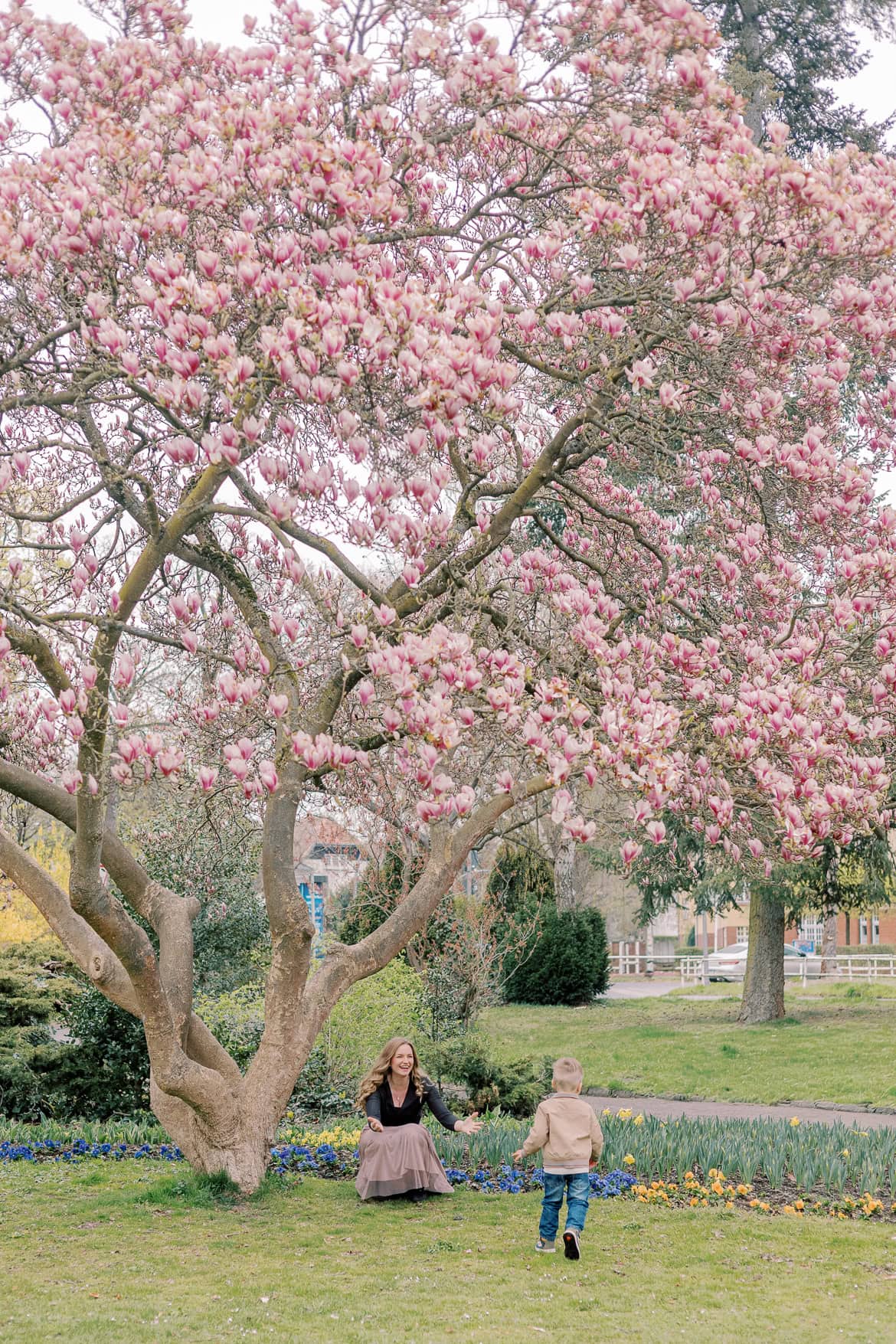 Kirschblüten und Magnolien Mini Sessions