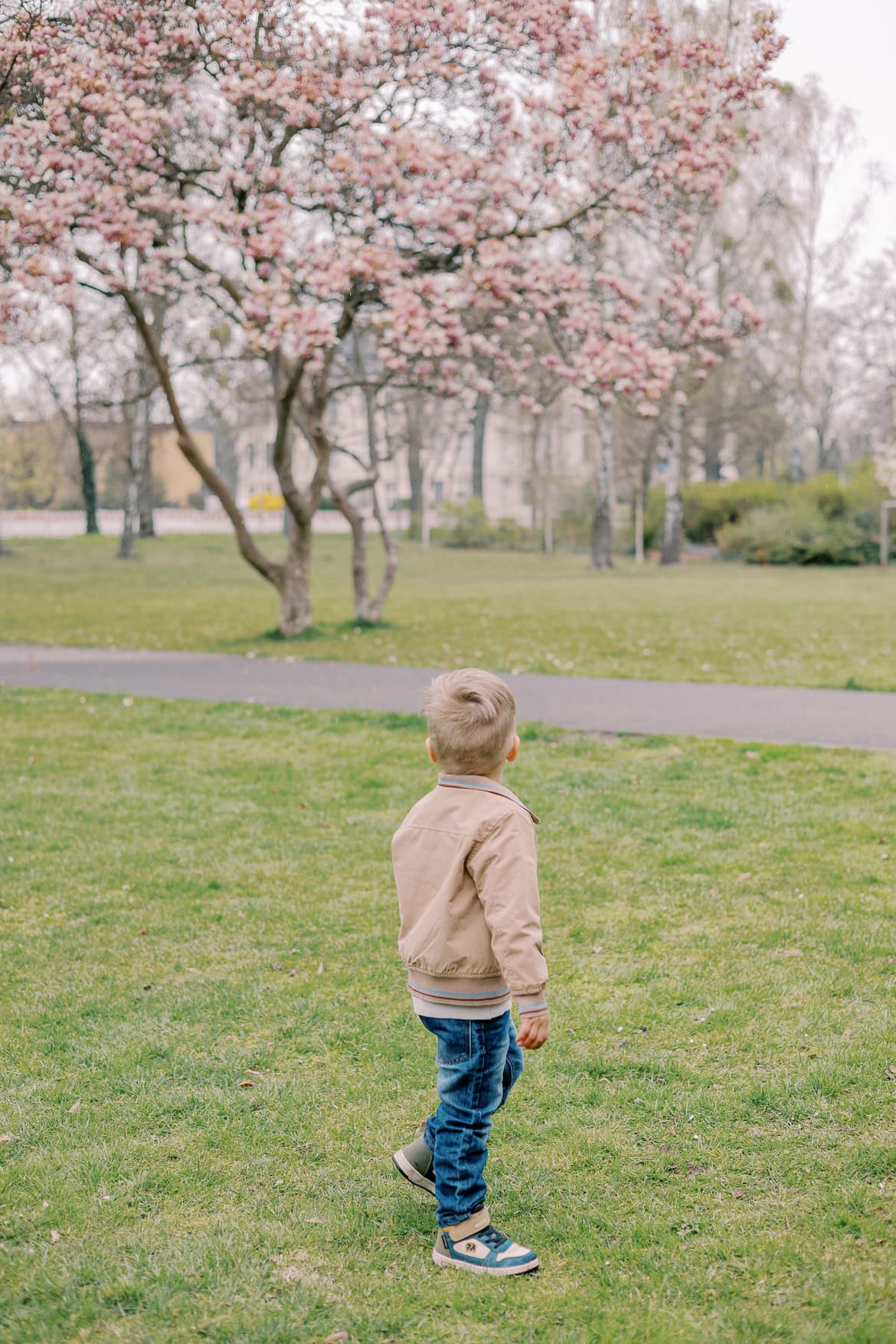 Kirschblüten und Magnolien Mini Sessions