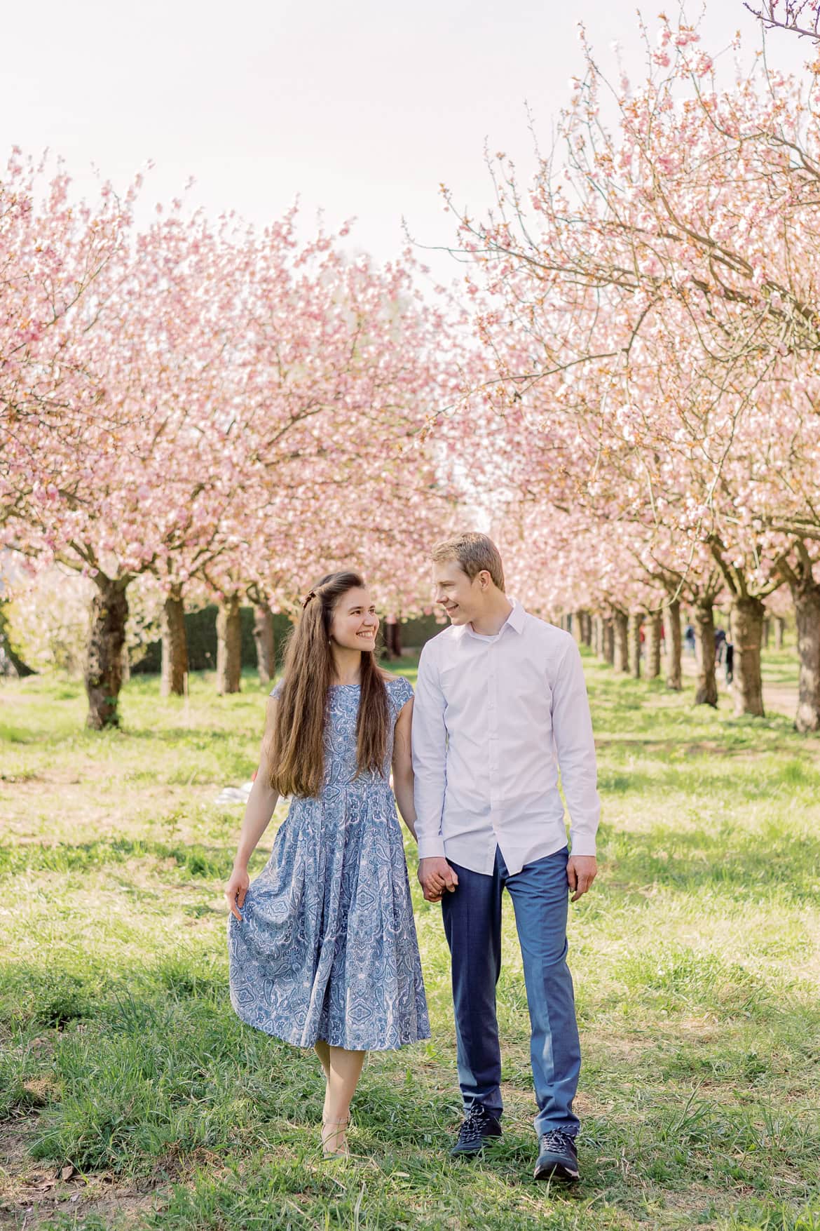 Kirschblüten und Magnolien Mini Sessions