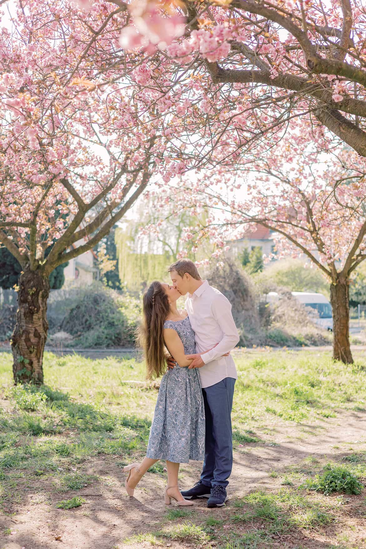 Kirschblüten und Magnolien Mini Sessions