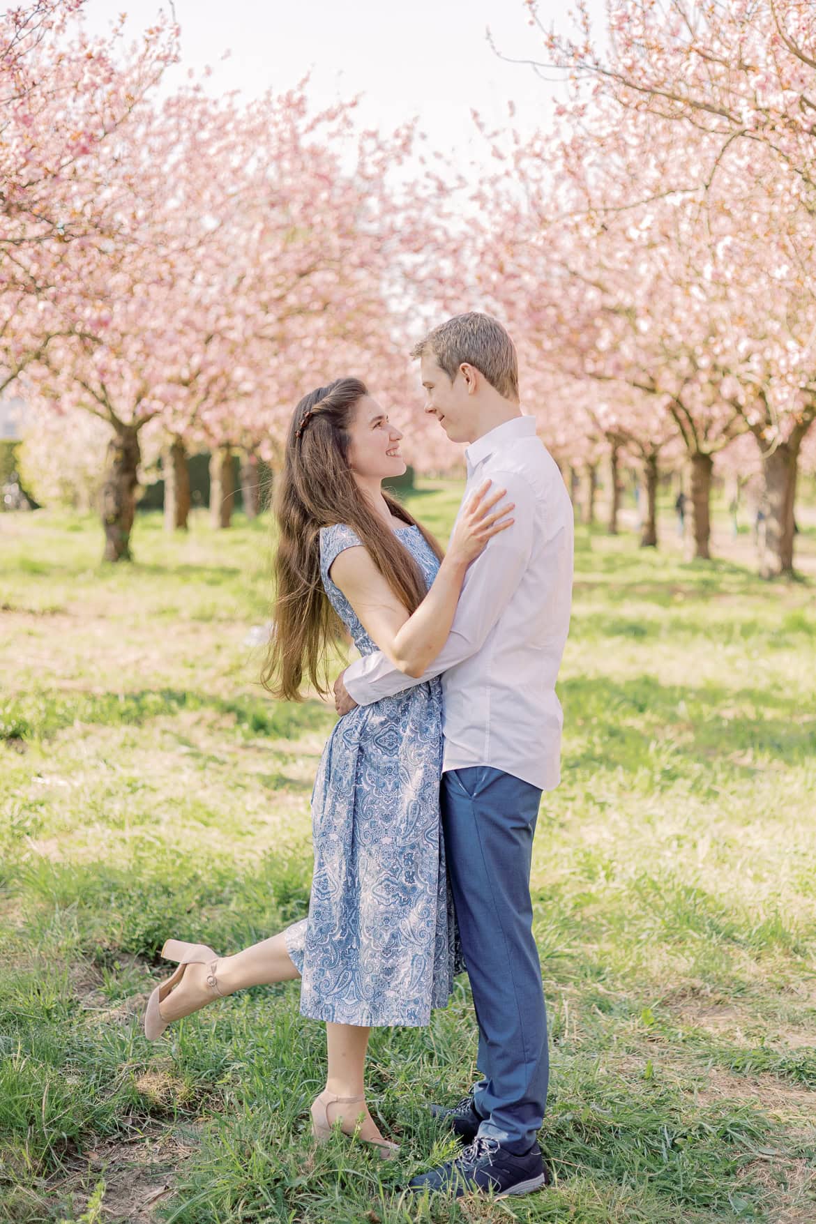 Kirschblüten und Magnolien Mini Sessions