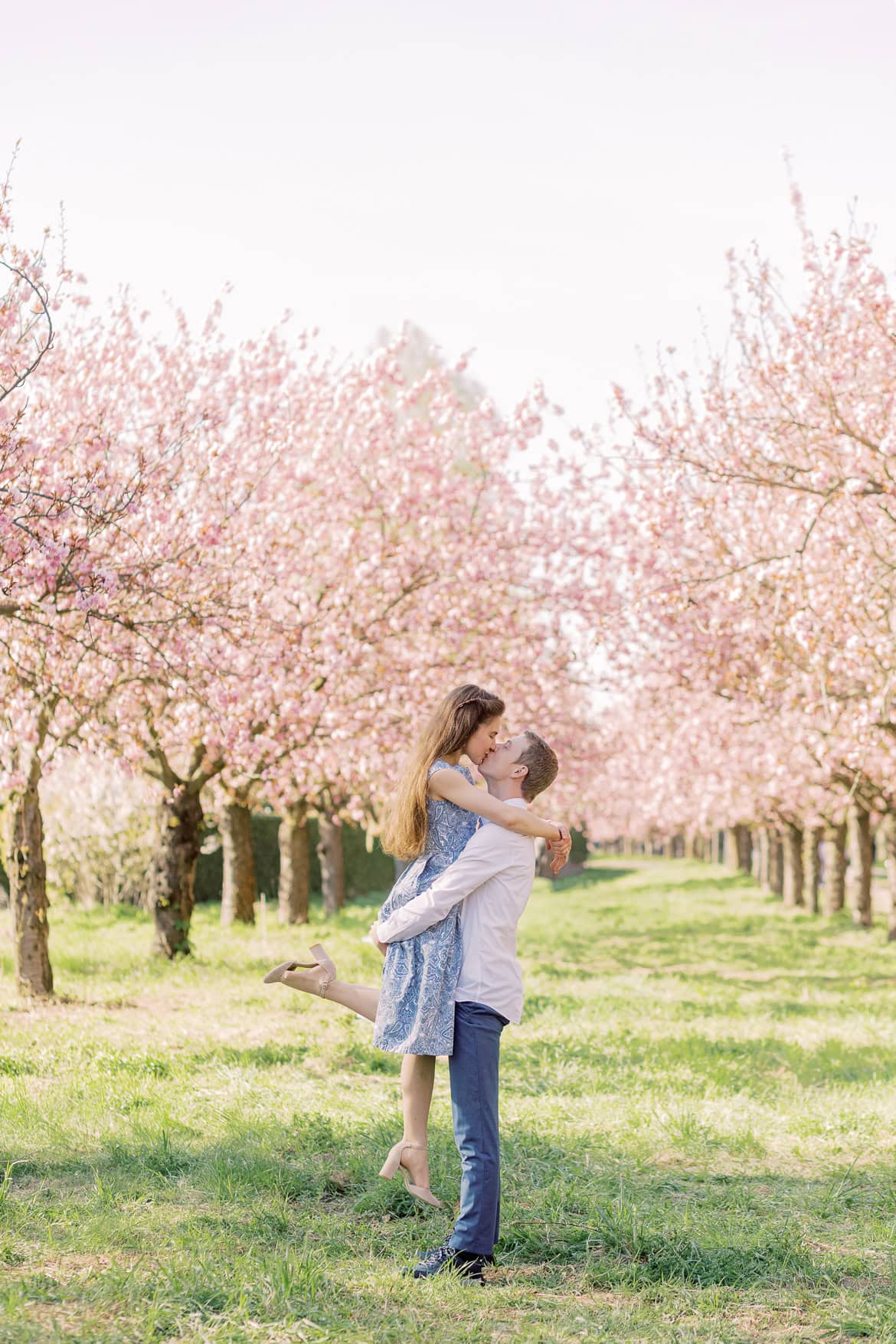 Kirschblüten und Magnolien Mini Sessions