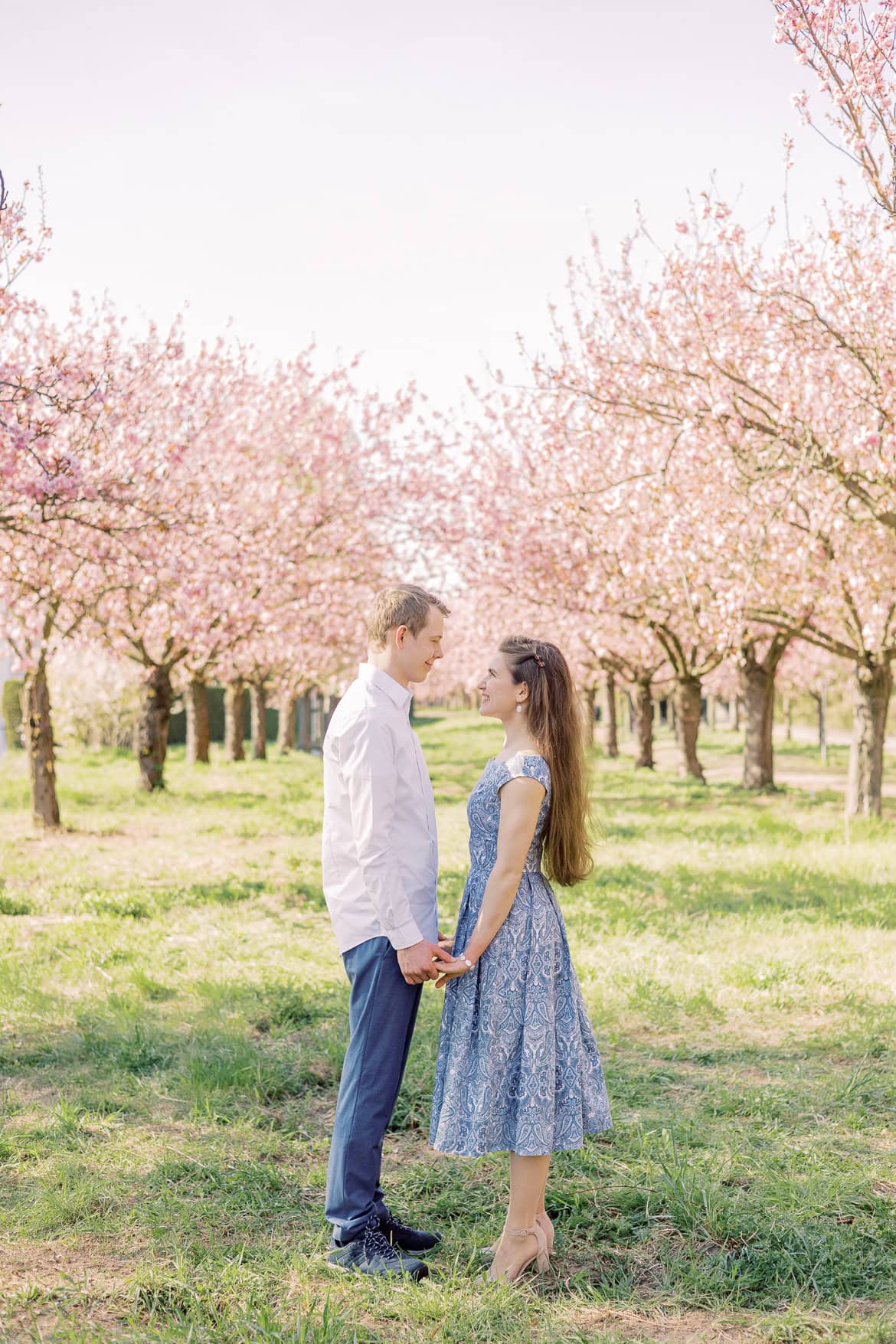 Kirschblüten und Magnolien Mini Sessions