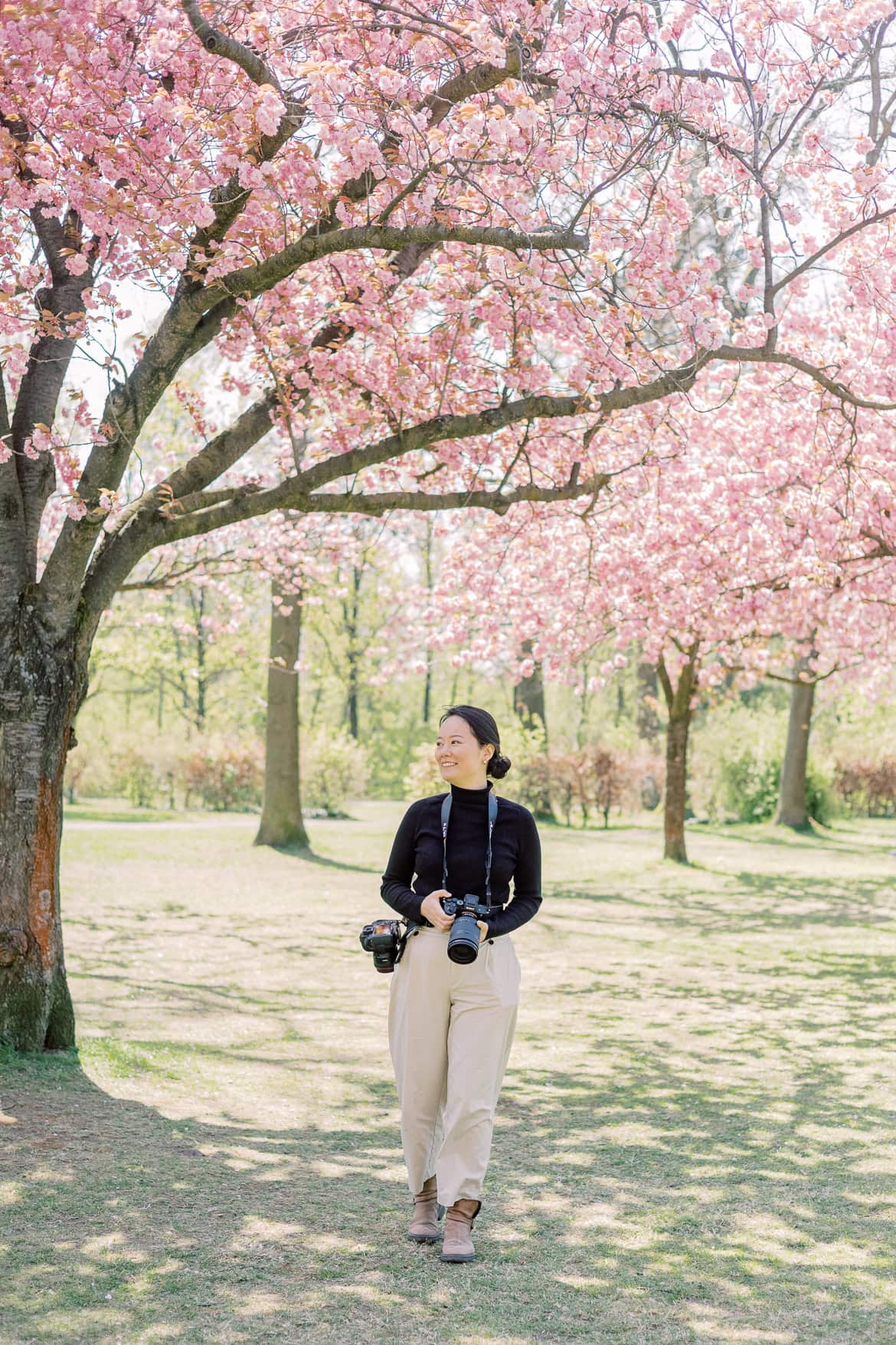 Kirschblüten und Magnolien Mini Sessions