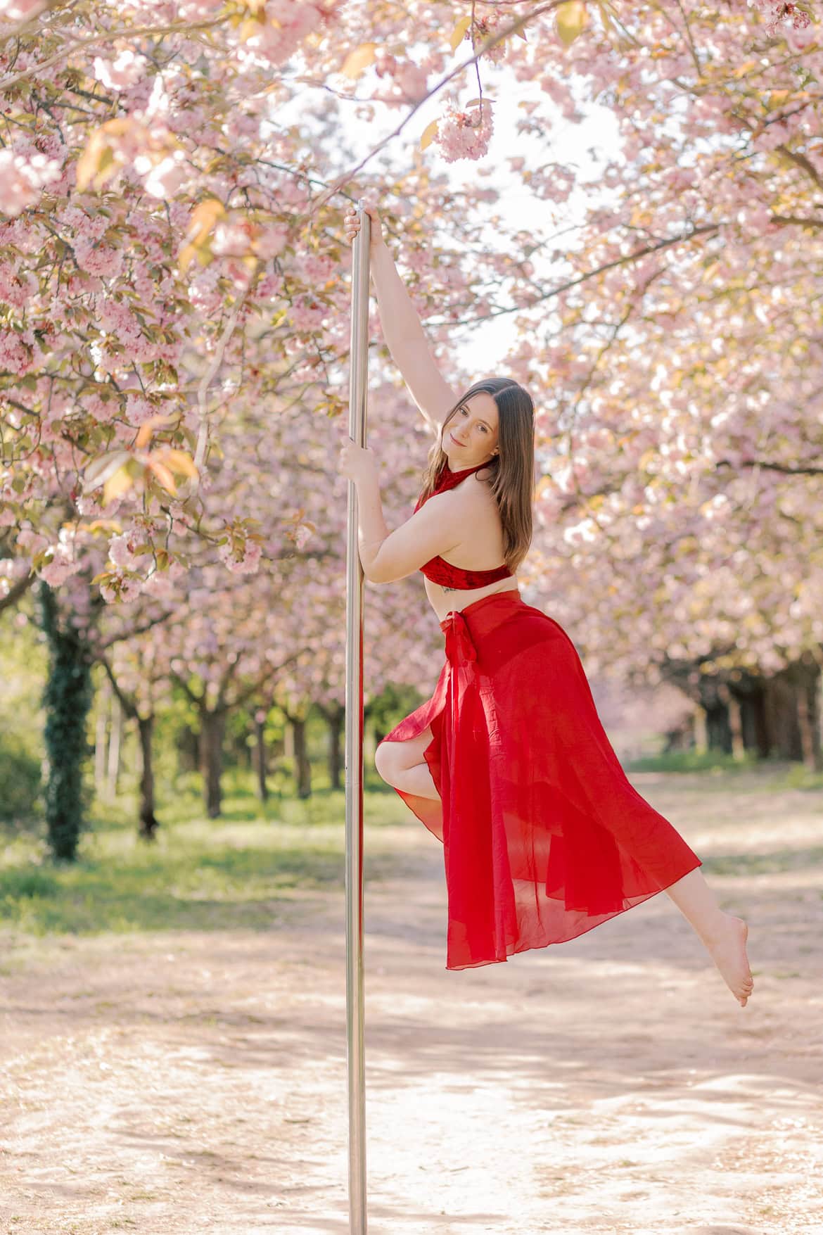 Kirschblüten und Magnolien Mini Sessions