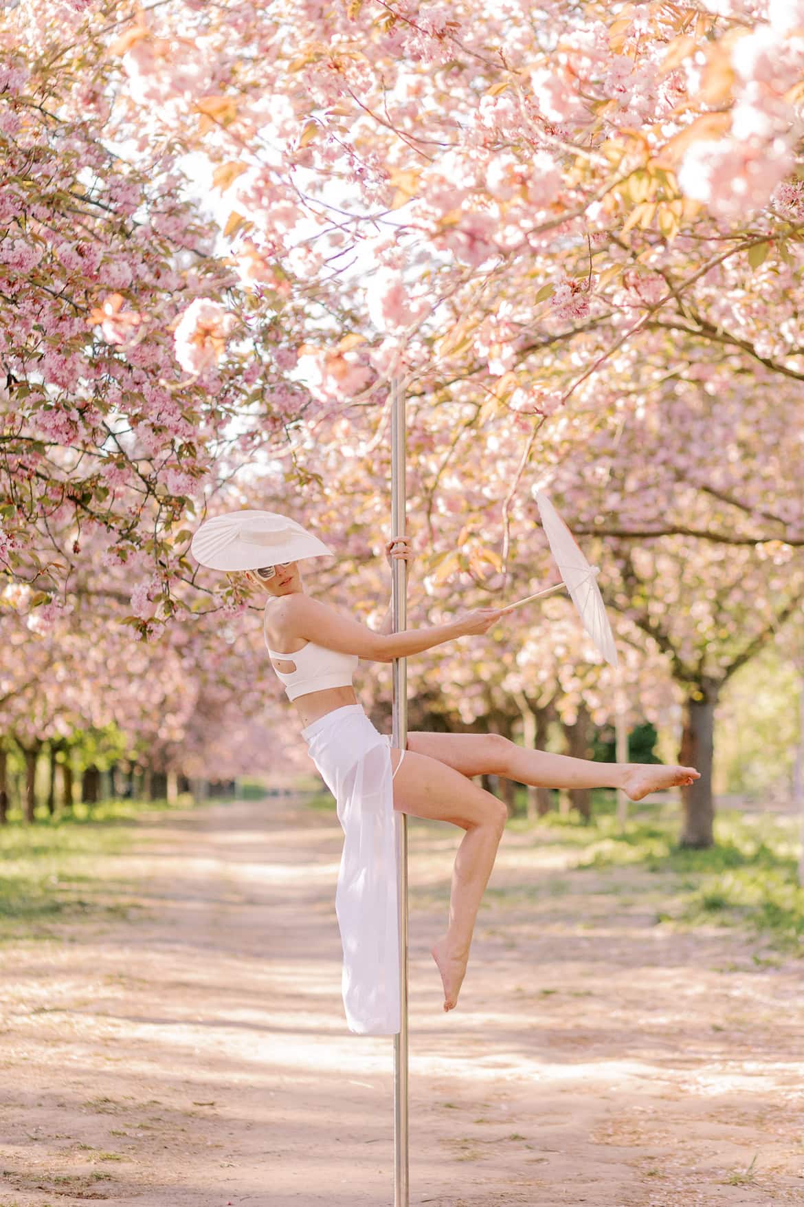 Kirschblüten und Magnolien Mini Sessions
