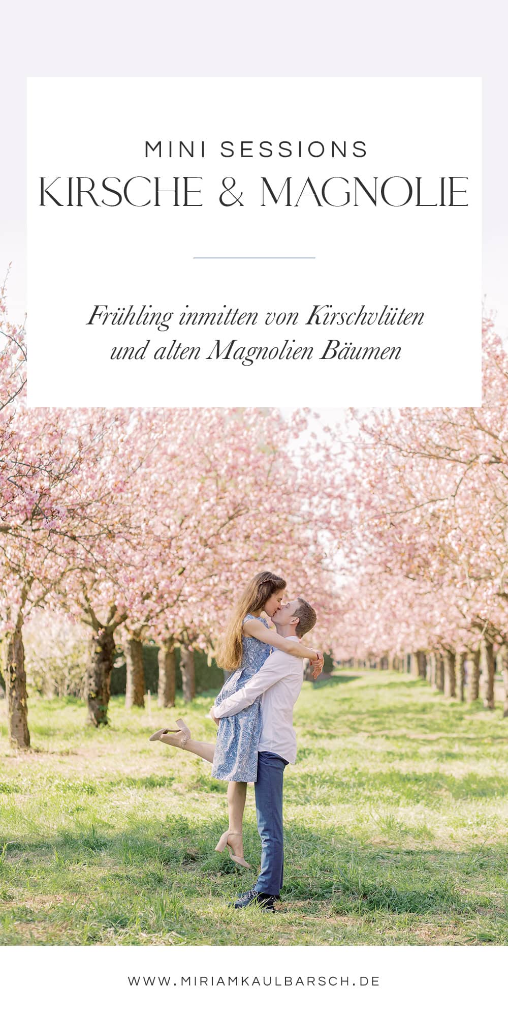 Kirschblüten und Magnolien Mini Sessions